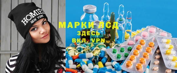 мяу мяу мука Абаза