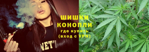мяу мяу мука Абаза