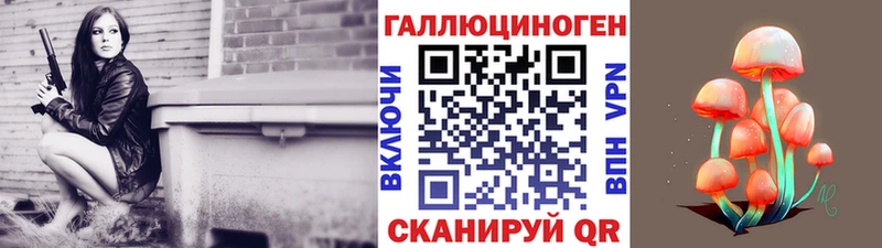 Галлюциногенные грибы Psilocybe  Тулун 